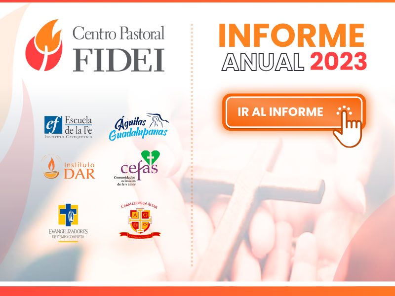 Ir al Informe Anual FIDEI 2023